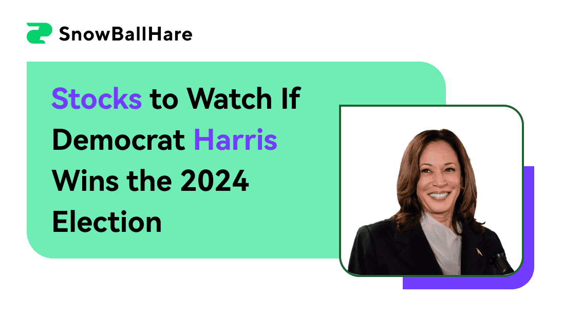 Stocks to Watch If Democrat Harris Wins the 2024 Election