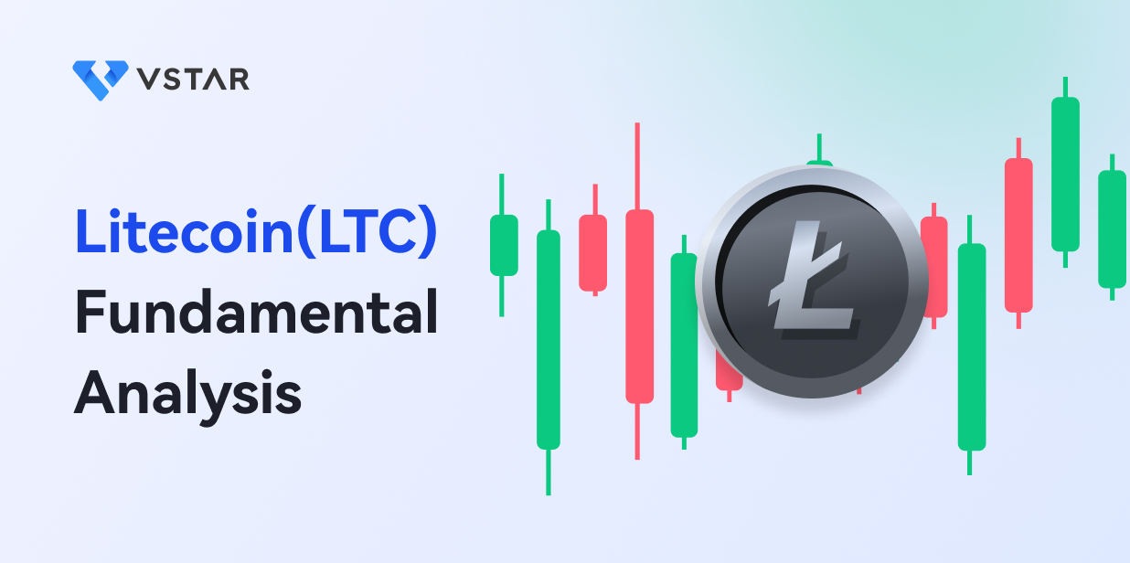 Litecoin Fundamental Analysis