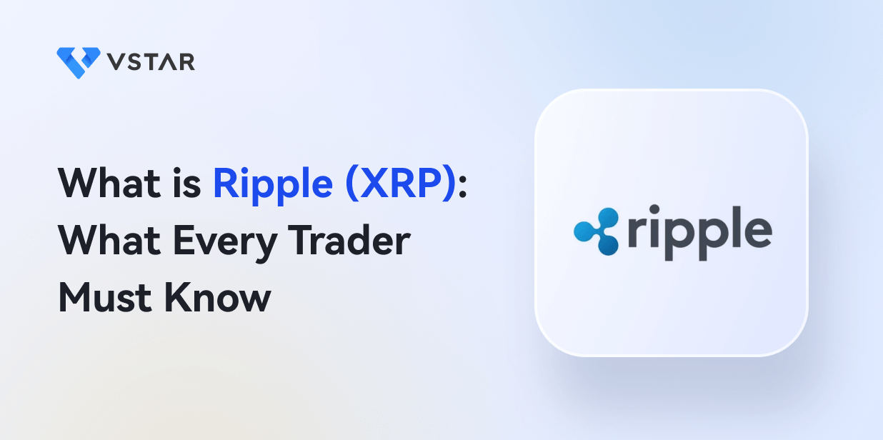 What is Ripple (XRP): What Every Trader Must Know