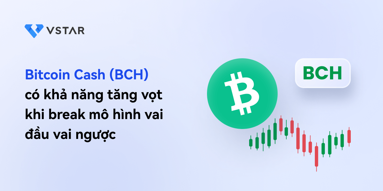 Bitcoin Cash (BCHUSD) có khả năng tăng vọt khi break mô hình vai đầu vai ngược