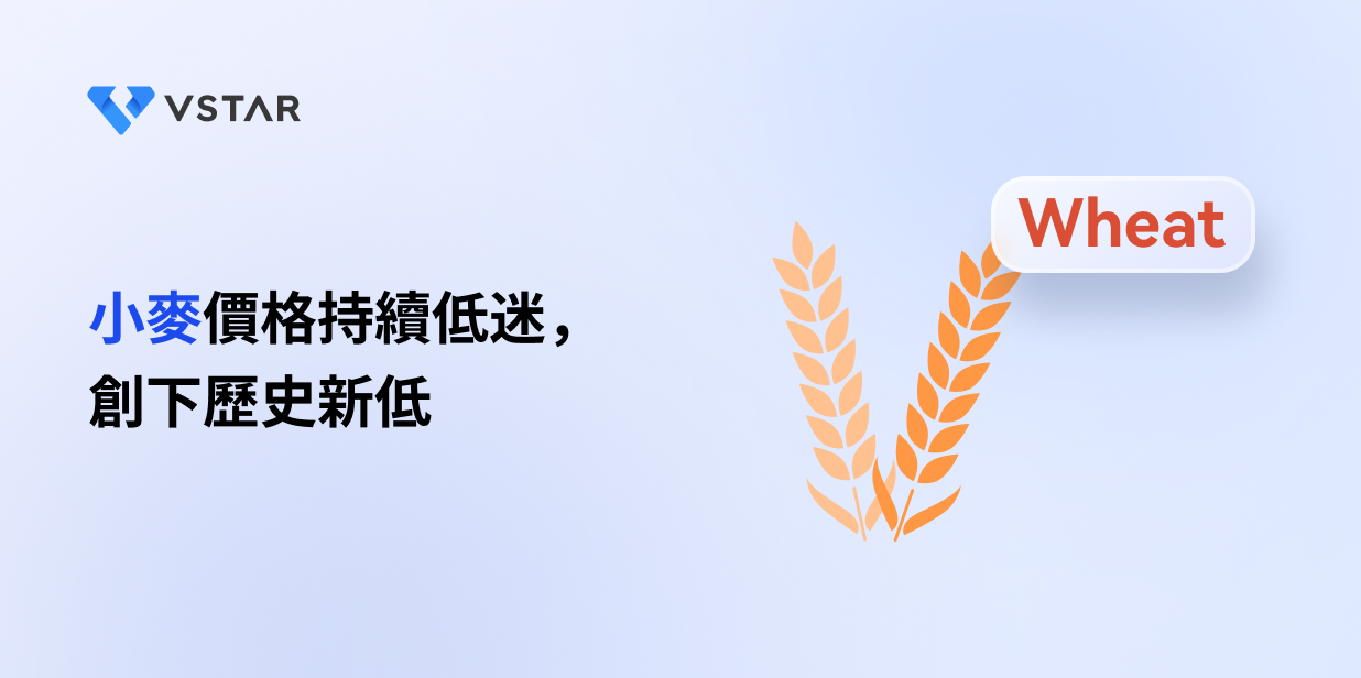 小麥價格持續低迷，創下歷史新低