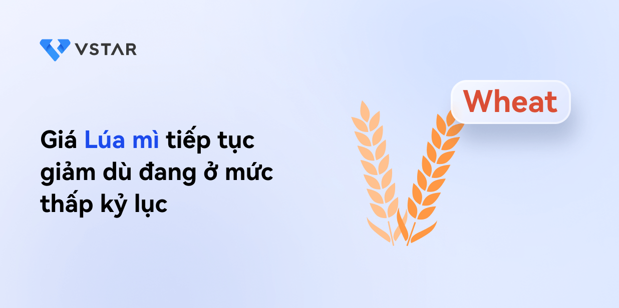 Giá Lúa Mì vẫn tiếp tục giảm dù đang ở mức thấp kỷ lực