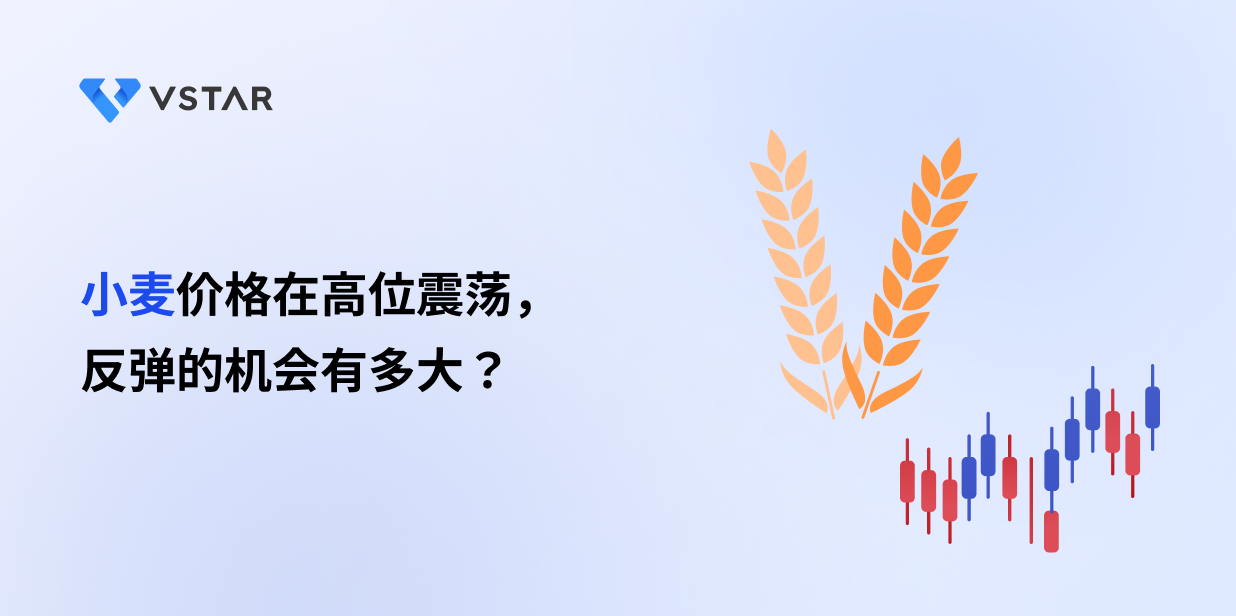 小麦价格在高位震荡，反弹的机会有多大？