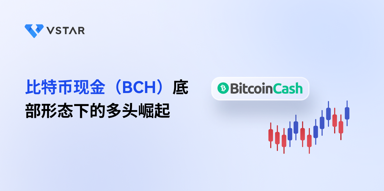 比特币现金（BCH）底部形态下的多头崛起