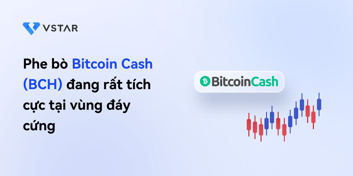 Phe bò Bitcoin Cash (BCH) đang rất tích cực tại vùng đáy cứng