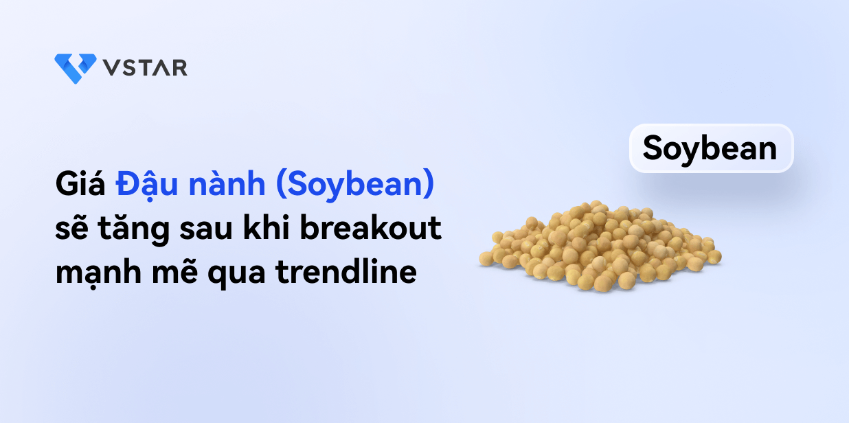 Giá Đậu nành sẽ tăng sau khi break mạnh mẽ qua trendline