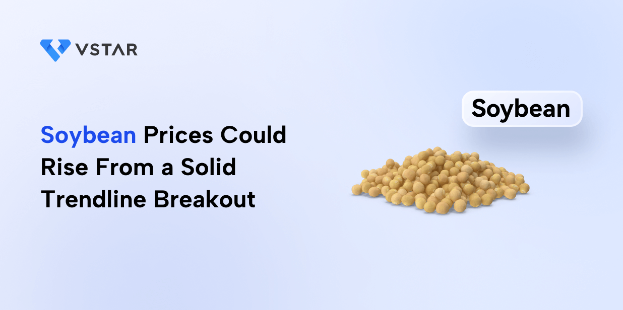 Soybean Prices Could Rise From a Solid Trendline Breakout