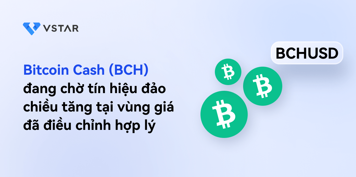 Bitcoin Cash (BCH) đang chờ tín hiệu đảo chiều tăng tại vùng giá đã điều chỉnh hợp lý