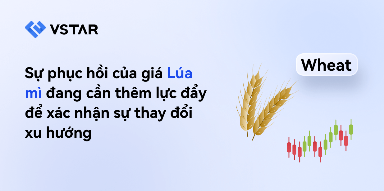 Sự phục hồi tăng giá của Lúa mì đang cần thêm lực đẩy để xác nhận sự thay đổi xu hướng