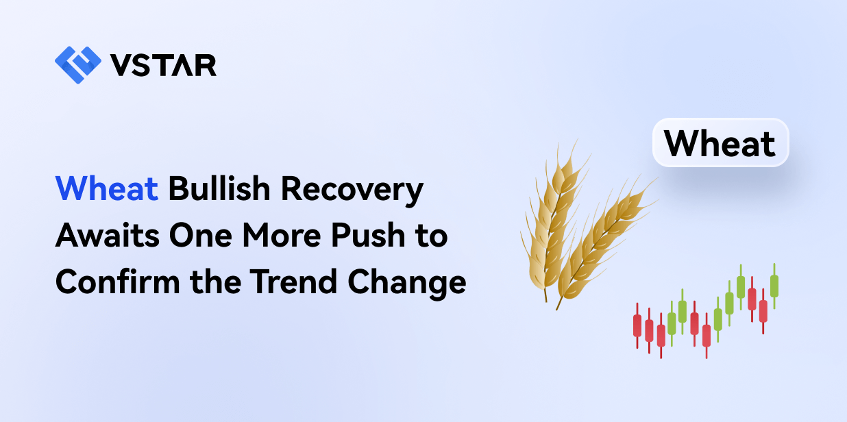 wheat-bullish-recovery-awaits-push-confirm-trend-change